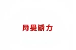 红毯撞衫疑案封面，两套造型轮廓并列对比的画面